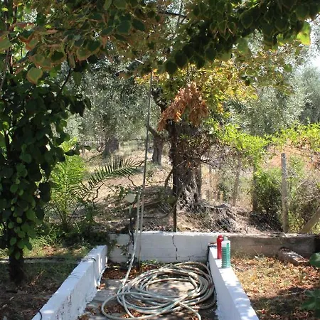 Anta Skála Kallirákhis