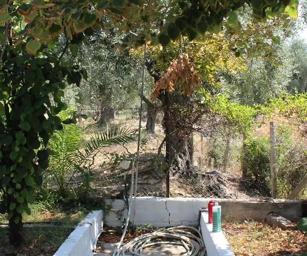 Anta Σκάλα Καλλιράχης